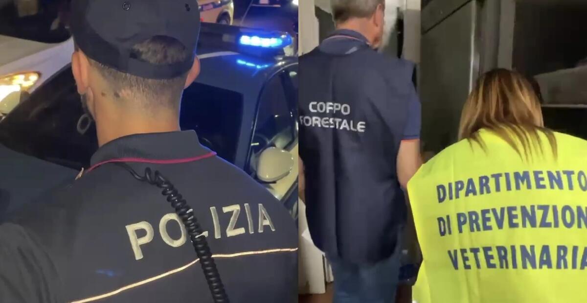 Catania: task force sanziona due locali, 24mila€ di multe, 2 casi di lavoro nero e 32 kg di prodotti non tracciati - 
