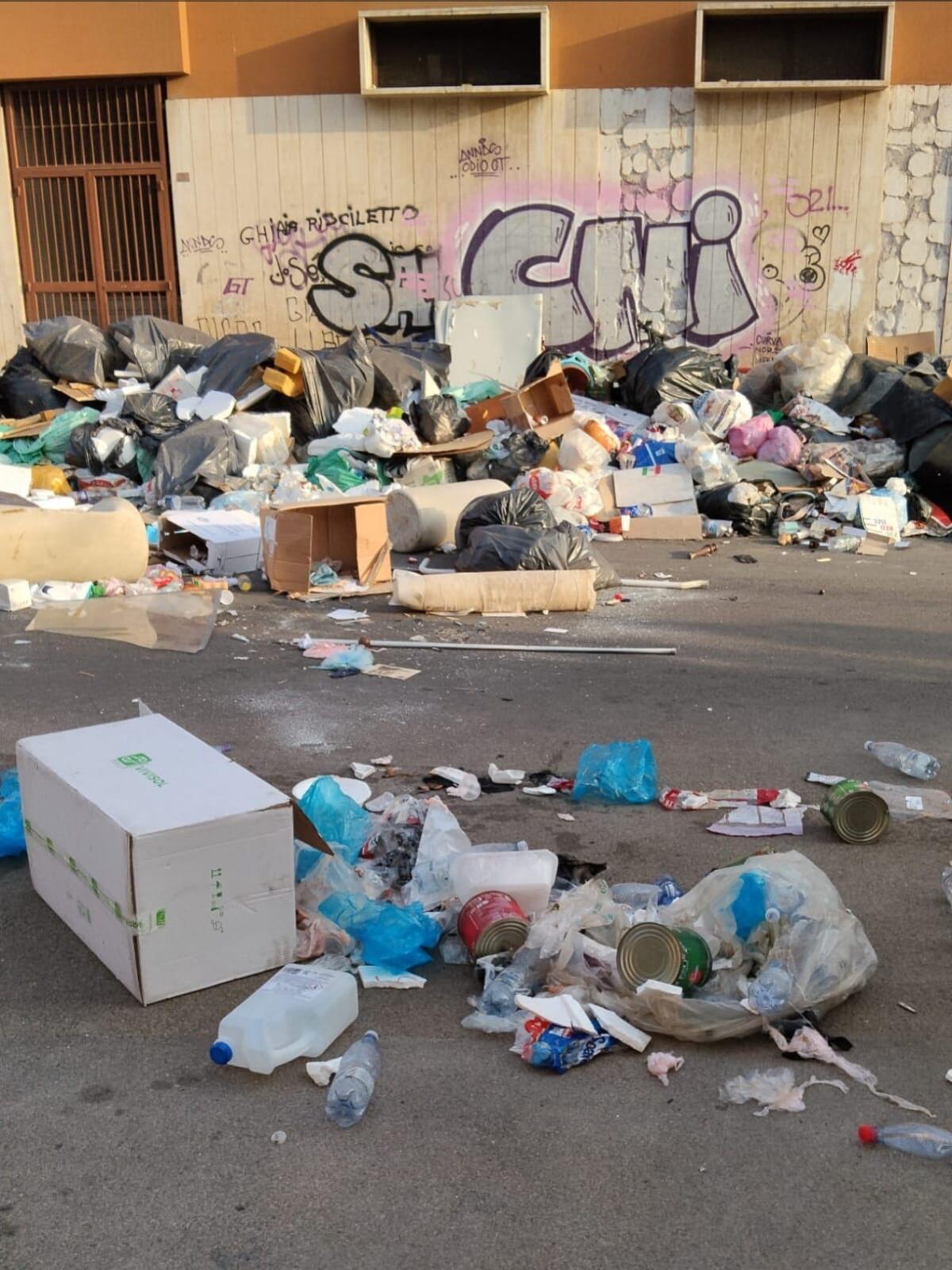Rifiuti a Borgo Vecchio: Palumbo chiede bonifica urgente e fototrappole - 