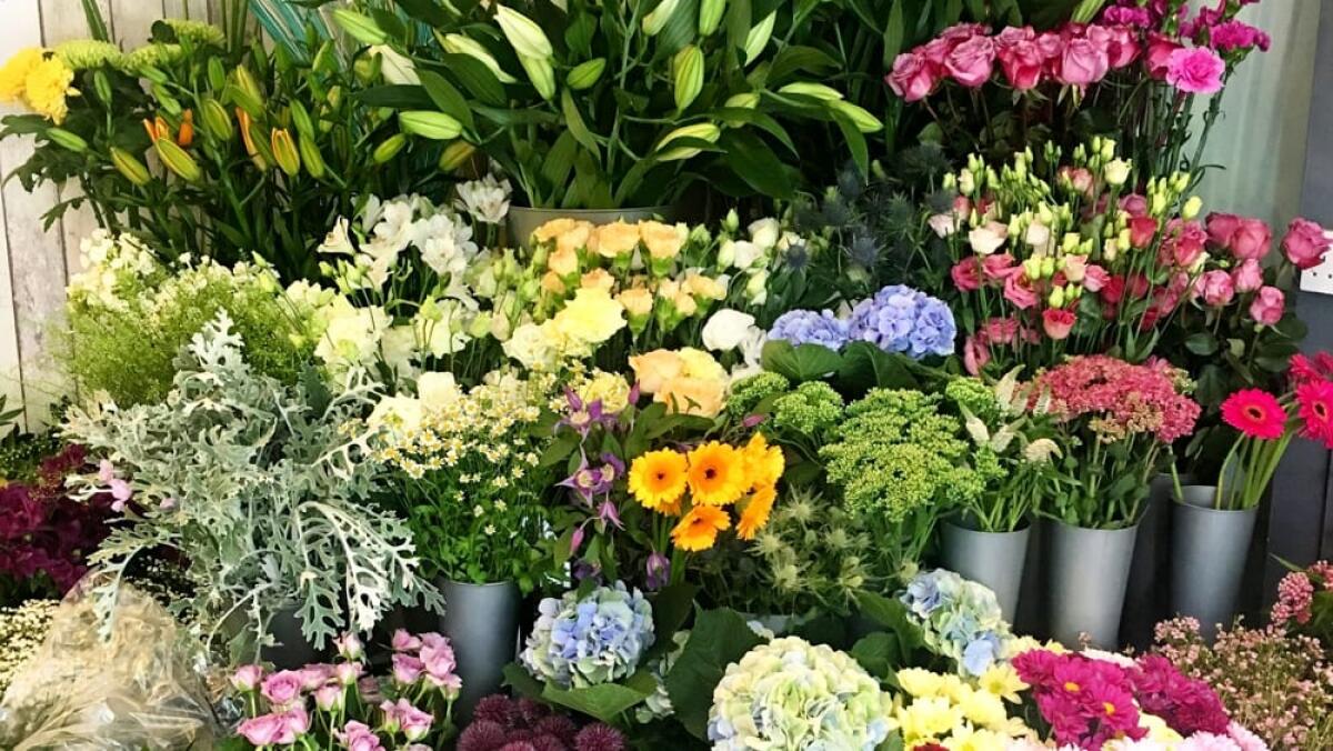 Sicilia istituisce il 'flower designer': nuovo profilo professionale per allestimenti floreali - 
