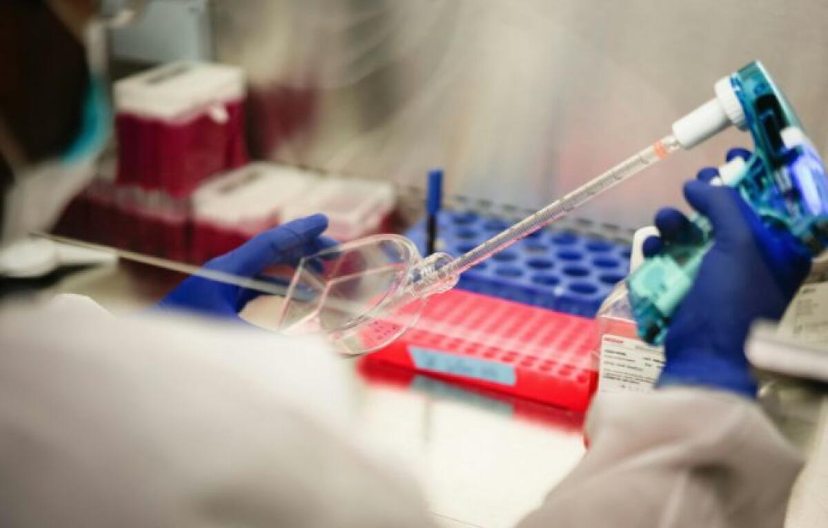 Ismett ottiene 16 milioni dalla Regione per RI-HEALTH: potenziamento di AI e medicina di precisione a Palermo - 