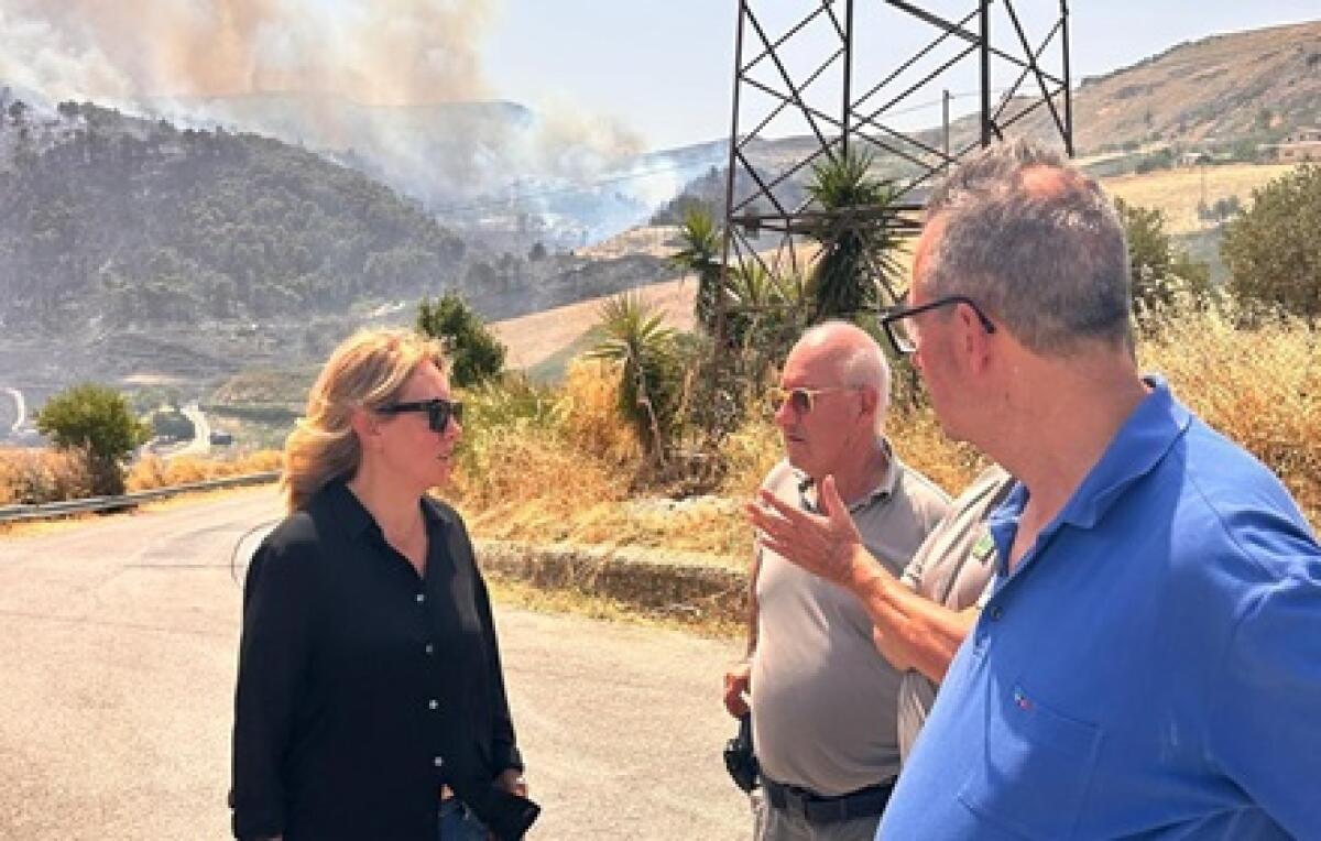 Incendi in Sicilia: Savarino in sopralluogo nelle aree più colpite, sollecitati più Canadair - 