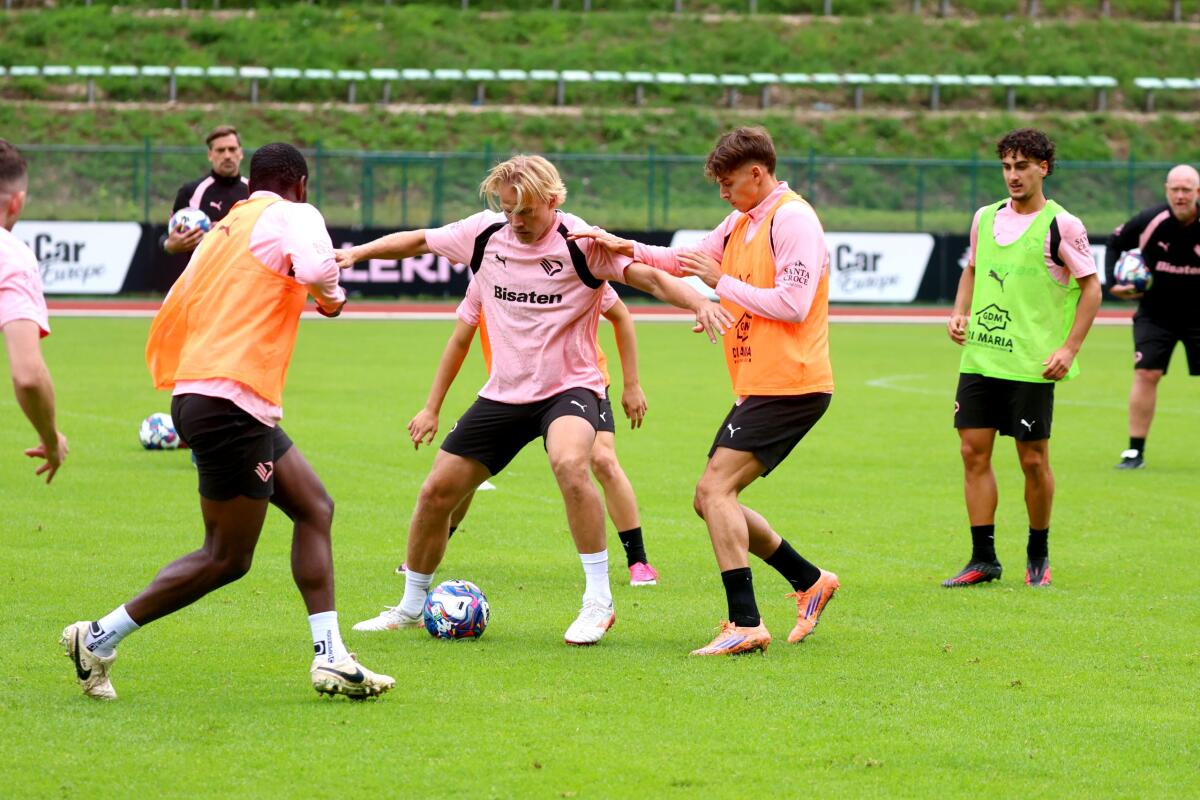 Palermo, Inzaghi continua la preparazione: domani amichevole col Paradiso al Mulin da Coi - 