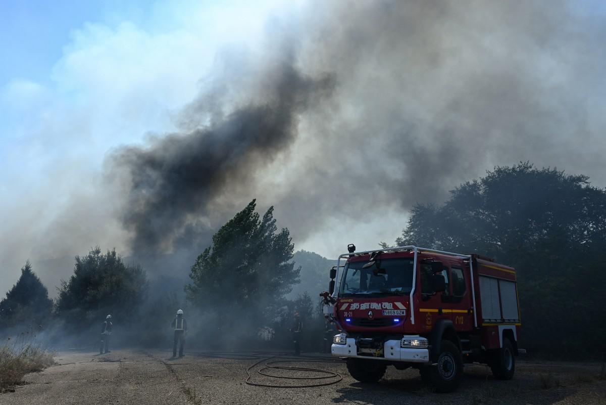Spagna, 12 morti a causa di un incendio in Andalusia: alcune vittime trovate nelle auto - 