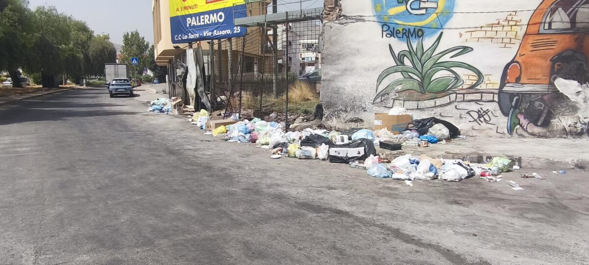 Colonia di ratti e roghi di rifiuti in viale Regione Siciliana: Giaconia chiede intervento urgente - 