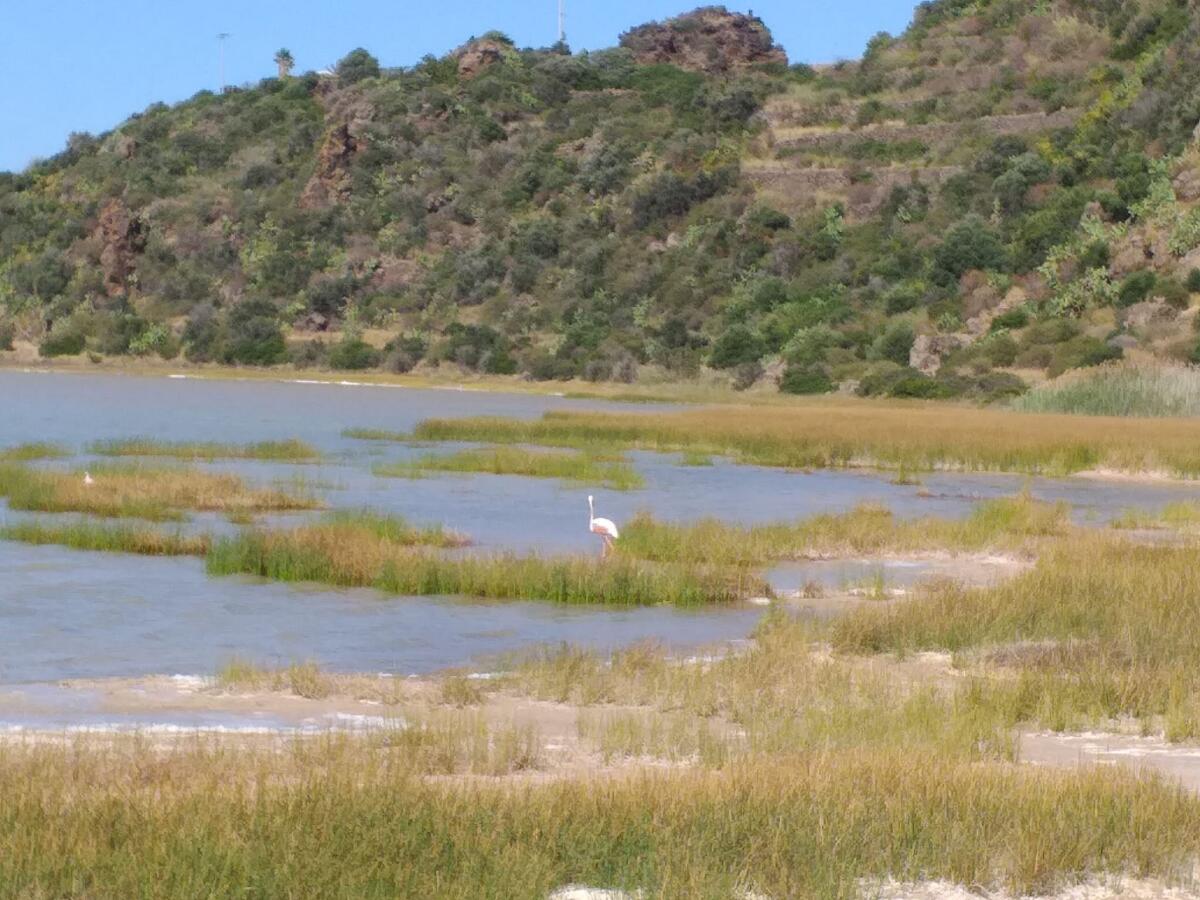 Pantelleria, il cantiere al Lago Specchio di Venere: perché salvaguardare il Bagno dell’Acqua conviene a tutti - 