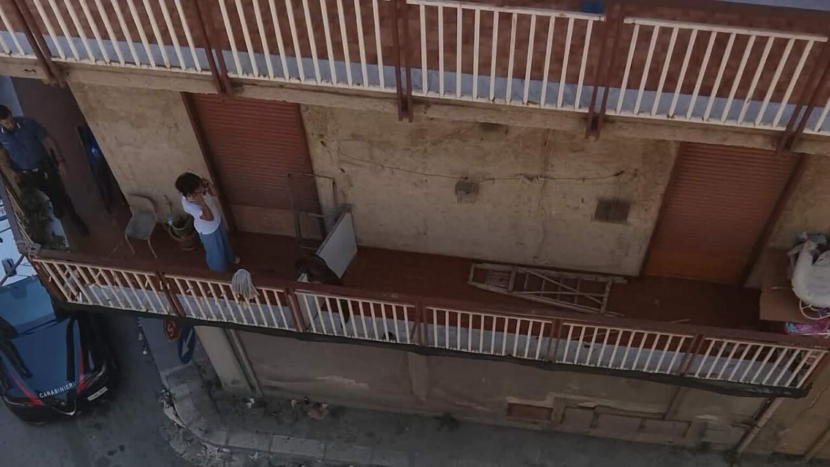 Cane sequestrato a Misilmeri: lasciato sul balcone sotto il sole, proprietaria denunciata - 