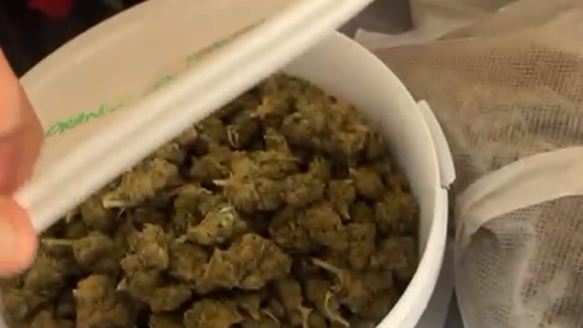 Catania: oltre 3,5 kg di marijuana nel garage, denunciato 43enne per spaccio online - 