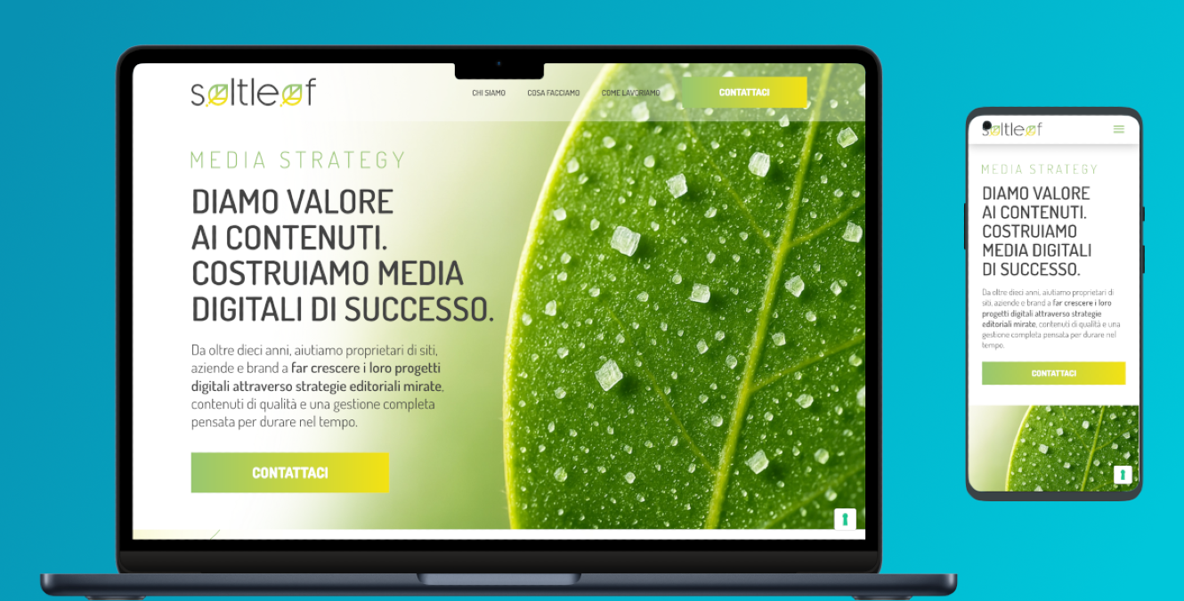 Salt Leaf e Webmaster360: un solo ecosistema per far crescere progetti editoriali diversi - 