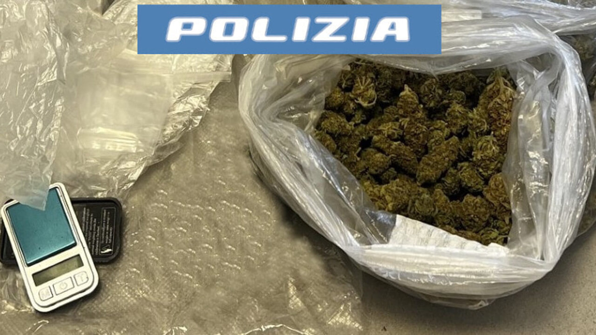 Catania, arrestato 28enne con 110 g di marijuana nascosti sotto la t-shirt - 