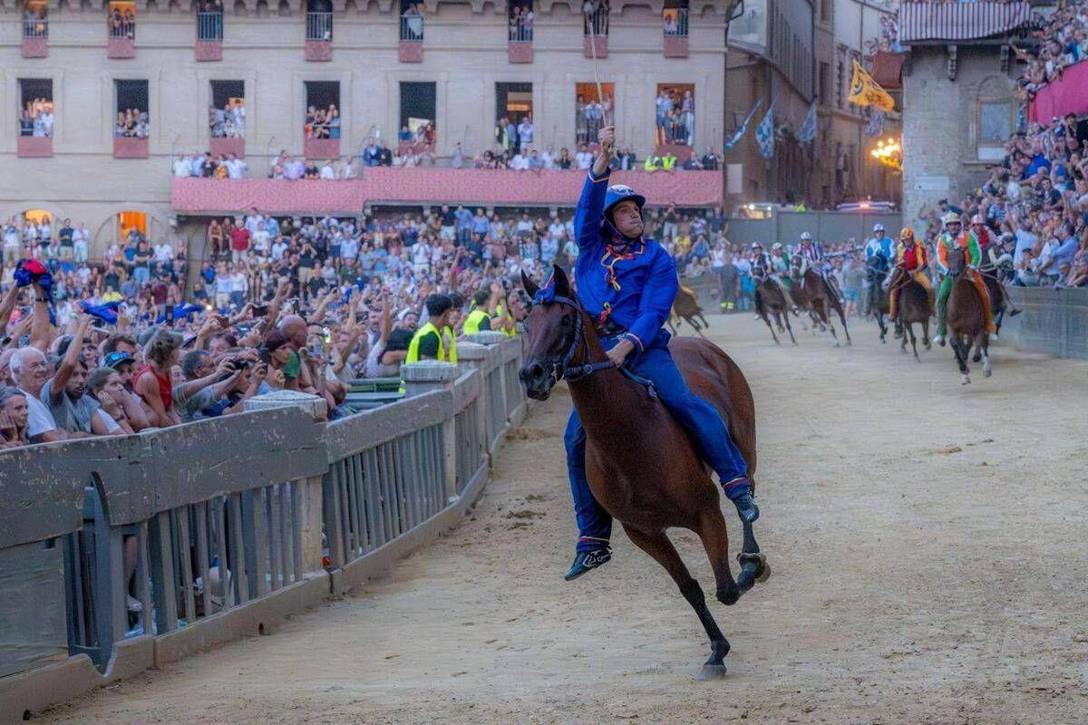 Palio di Siena, vince la contrada del Nicchio. Tittia cade da cavallo al termine della corsa: in ospedale per accertamenti, il fantino è cosciente - 