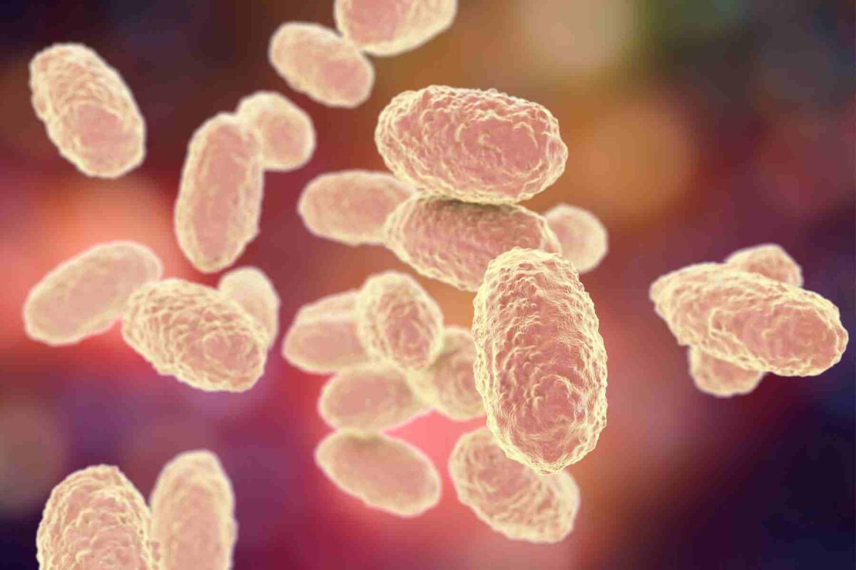 Due casi di difterite a Palermo: task force esclude un cluster e avvia misure per rafforzare le vaccinazioni - 
