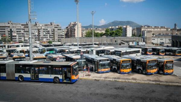 Linea 103: dall'11 agosto arriva al Molo Trapezoidale del porto di Palermo