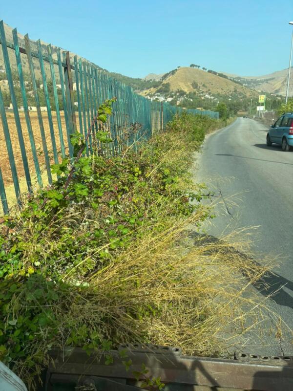Palermo avvia programma straordinario per il verde: messa in sicurezza dei bordi stradali e 210 km di diserbo