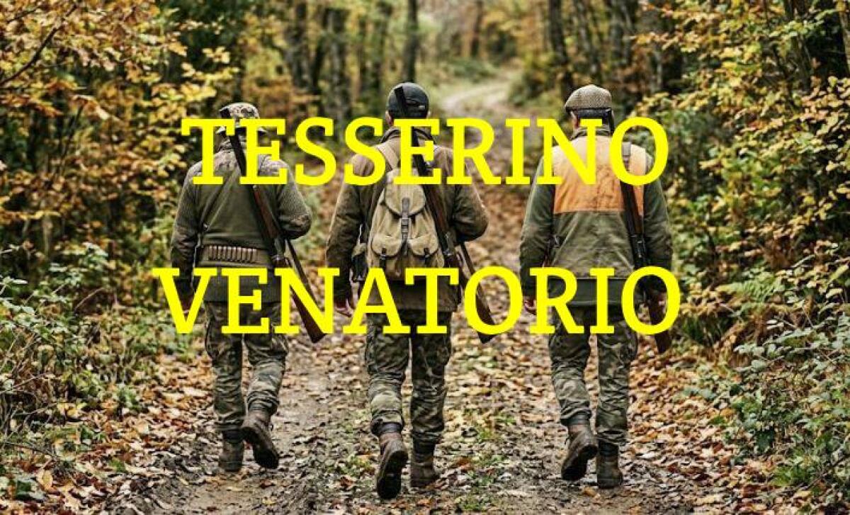 Tesserini venatori 2026/2027: distribuzione dal 20 agosto nelle otto Circoscrizioni, pagamento tasse tramite PagoPA - 