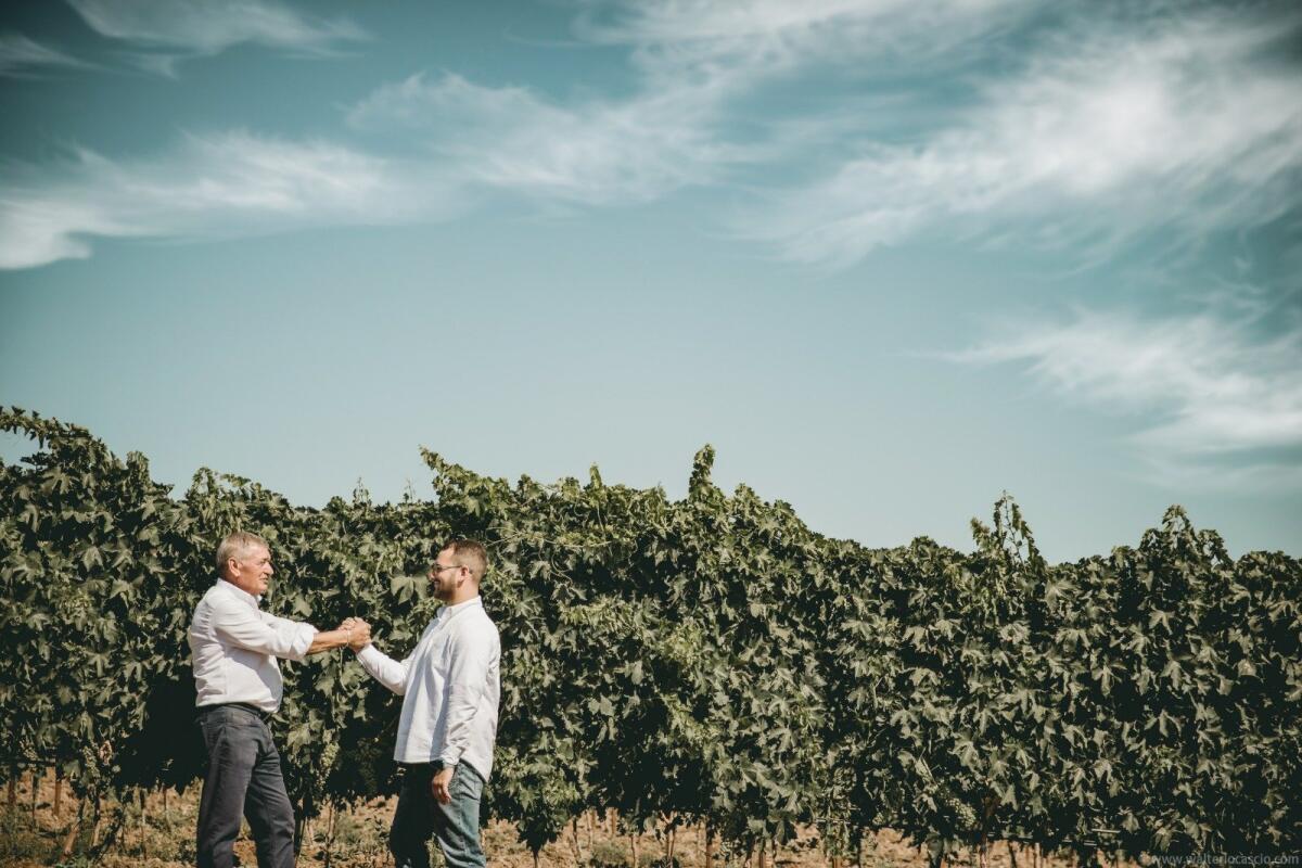 Incantaventu: Tenute Navarra e Telefono Arcobaleno riportano 65 bambini in vendemmia a Butera - 