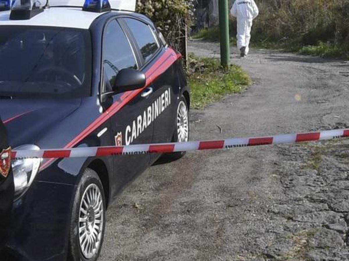 Roma, un uomo e un ragazzo trovati morti in stand allestito per palio Allumiere: avevano 36 e 15 anni - 