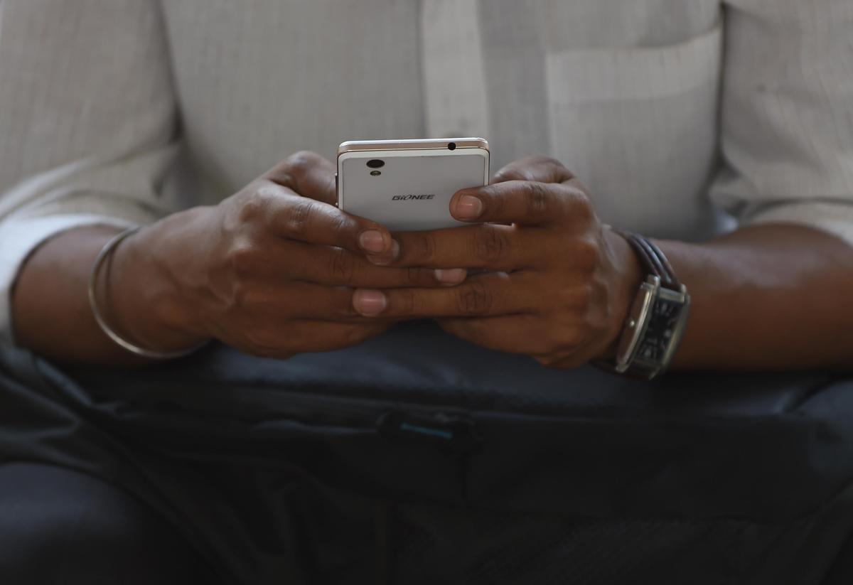 Foglia di alloro nella cover del telefono, il significato del trend: porta davvero fortuna? - 