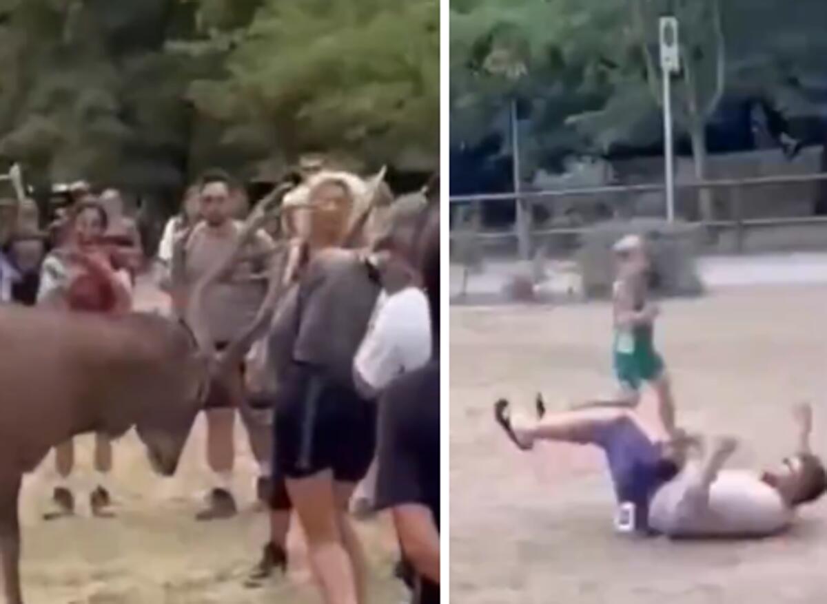 Prova a toccare un cervo e viene 'caricato': il video virale - 
