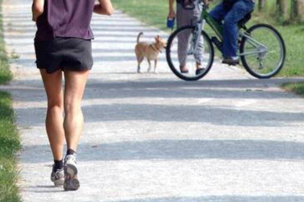 Correre pianissimo fa bene al cervello, lo studio a sorpresa - 