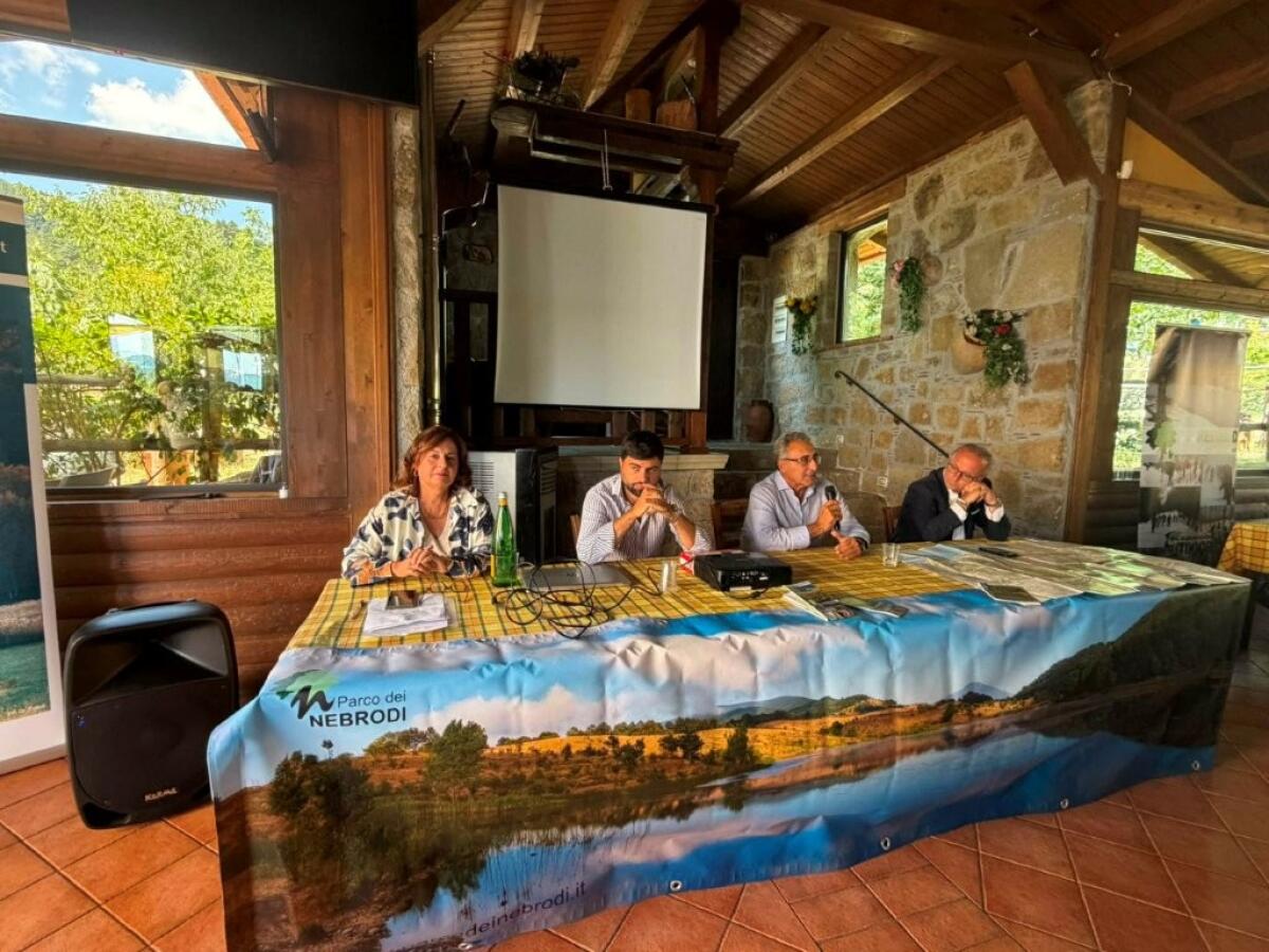 Nebrodi, tra tutela e sviluppo: dal seminario del Parco l'imperativo di una gestione attiva - 