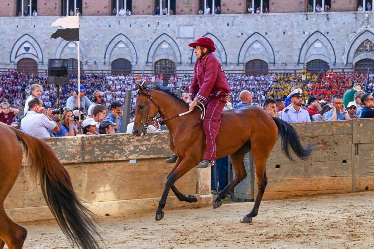 Palio Siena, la Contrada della Torre vince la quarta prova