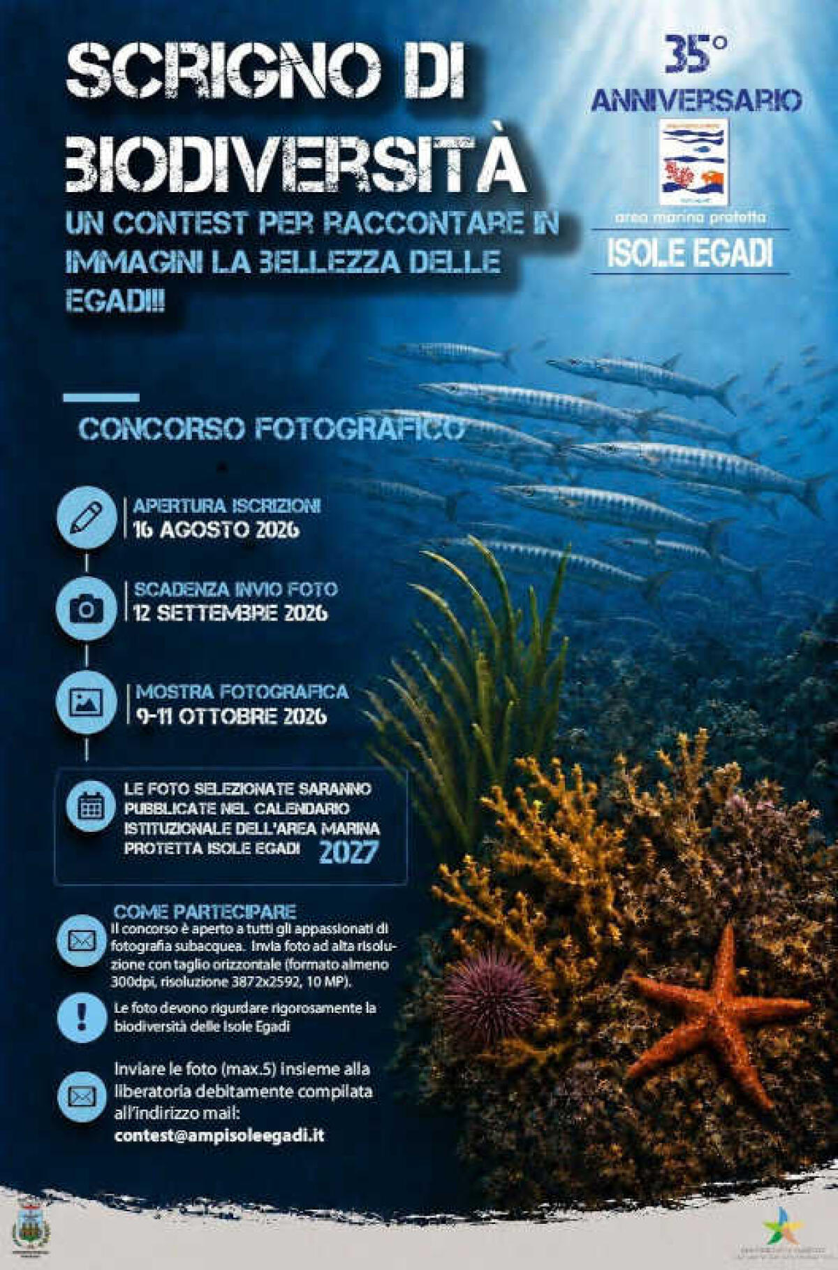 Egadi fotografa la biodiversità: il contest che trasforma scatti in mostra e calendario - 