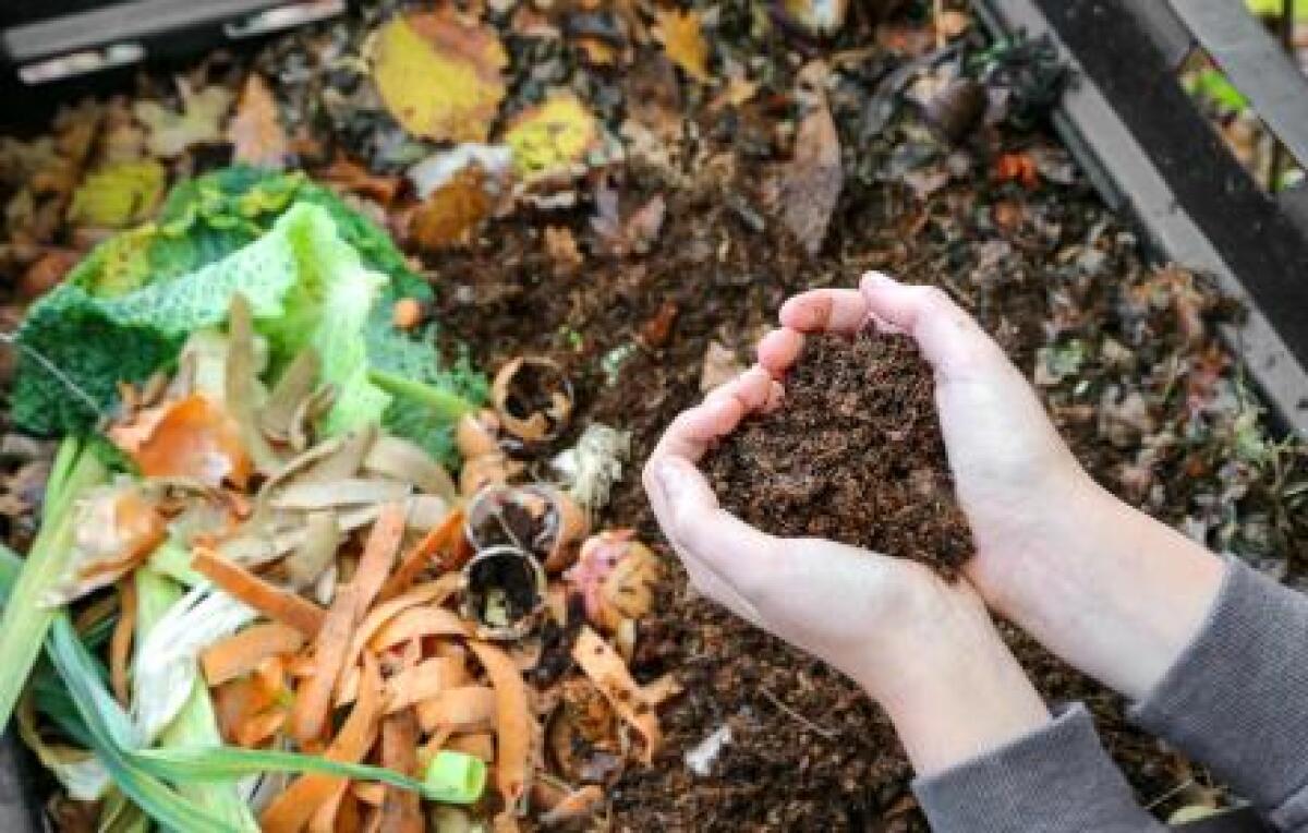 Sicilia: approvata la graduatoria provvisoria per il compostaggio di prossimità, 28 progetti finanziati - 
