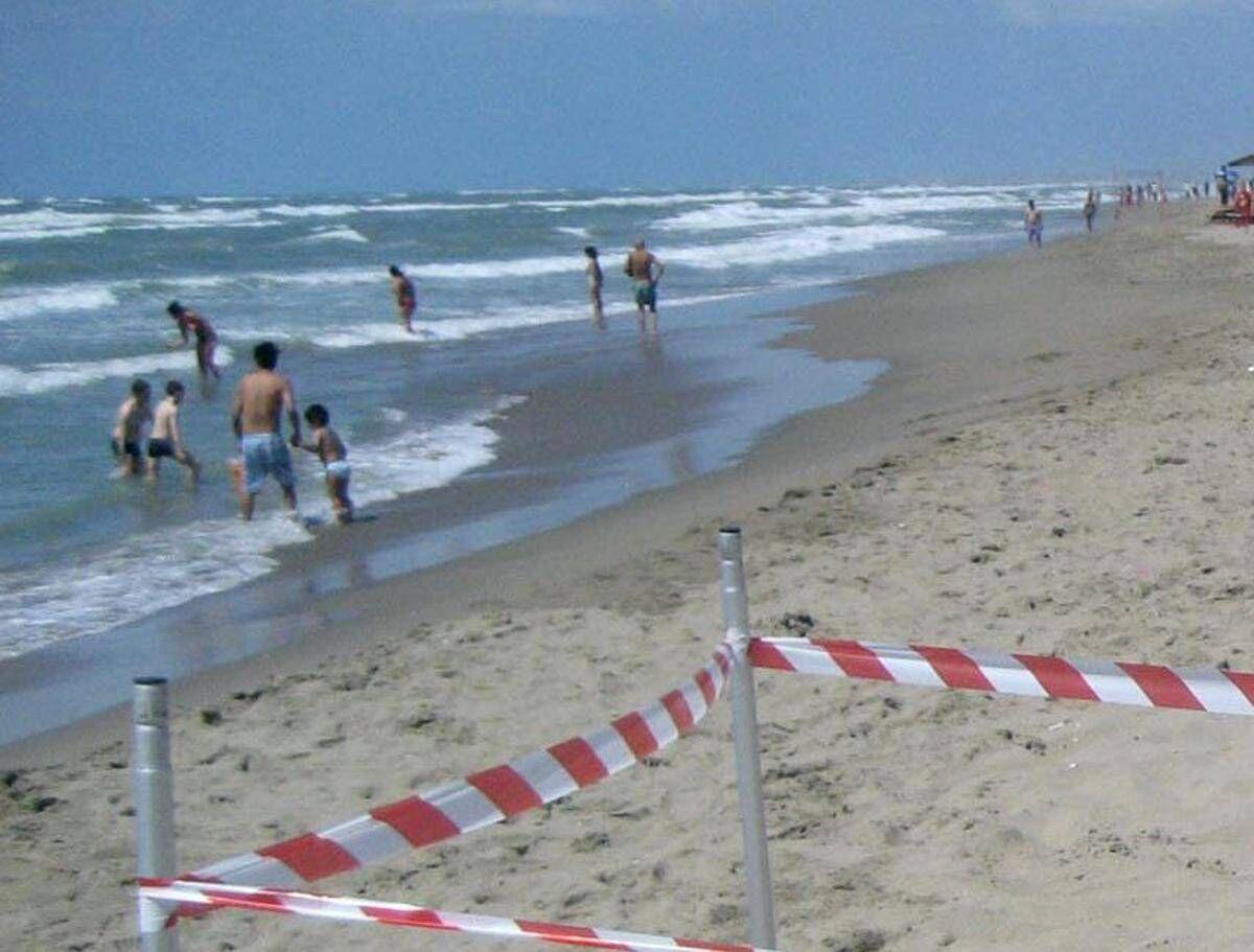 Moria di pesci a Torvajanica e Ardea, controlli ﻿sul litorale - 