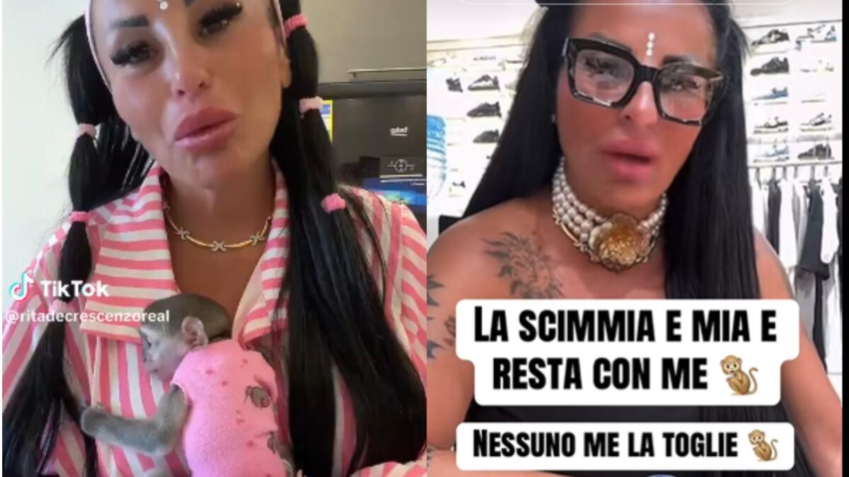Petizioni, esposti e shitstorm: il caso della “scimmietta” di Rita De Crescenzo tra accertamenti e polemiche - 