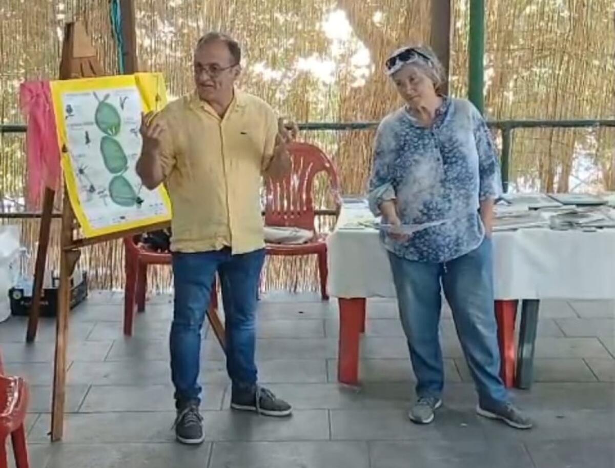 Noi piantiamo libri: tre generazioni e la natura-racconto nel cuore delle Madonie - 