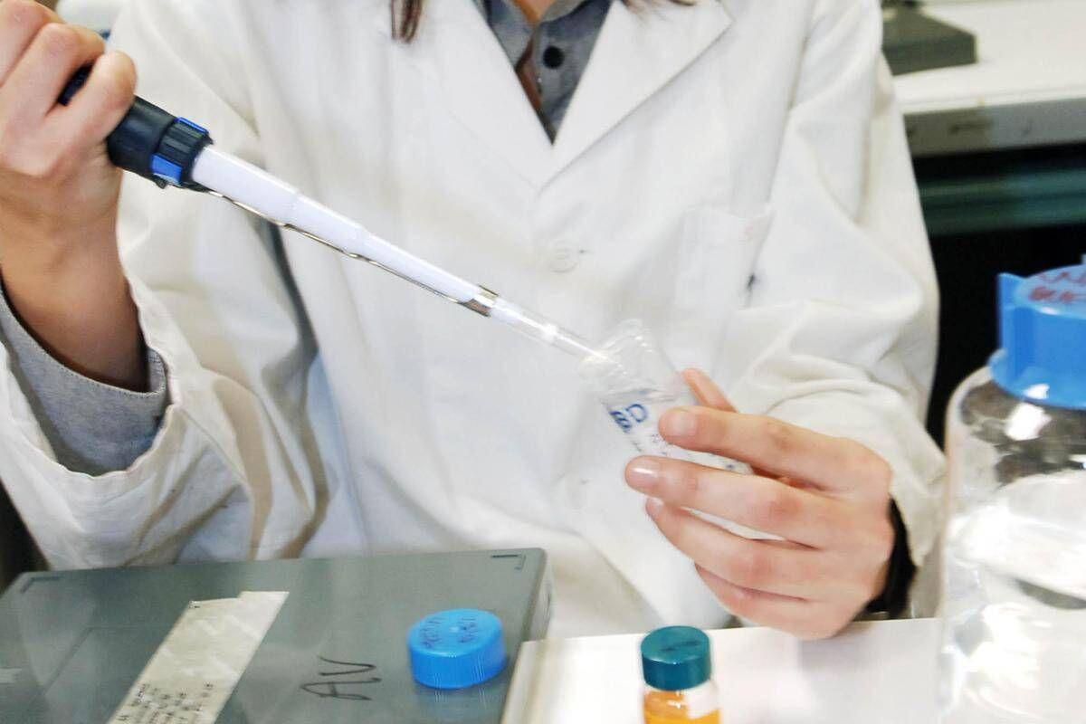 Melanoma, alcune cellule tumorali riescono a 'nascondersi' al sistema immunitario - 