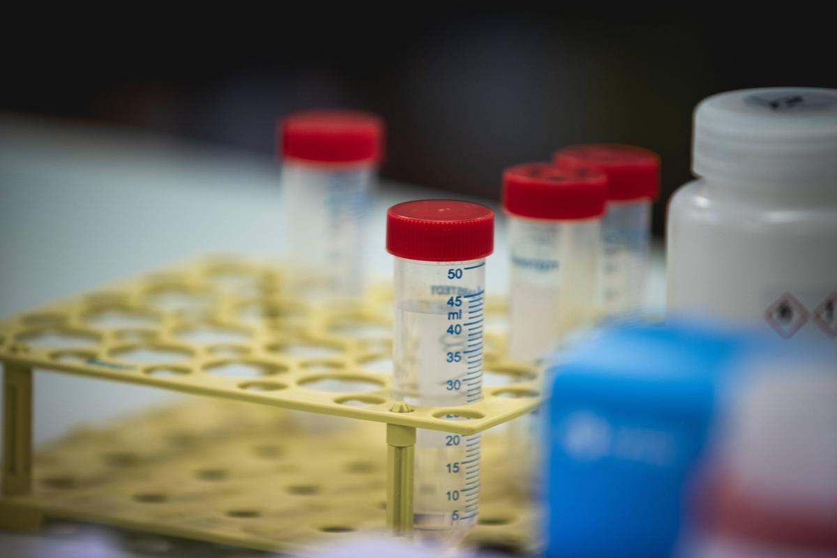 Difterite, quali rischi? Dalla trasmissione alla vaccinazione, ecco cosa sapere - 
