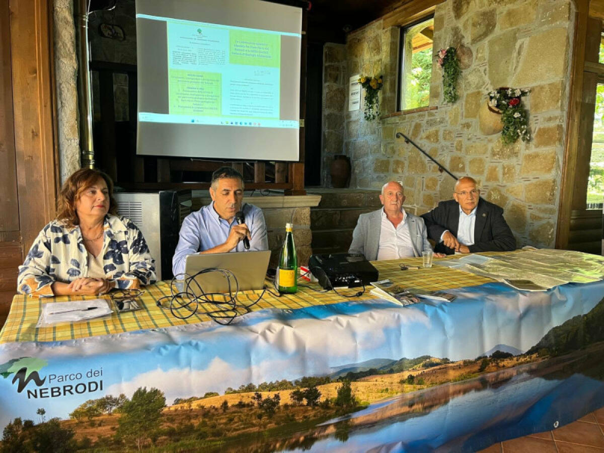 Nebrodi, tra tutela e sviluppo: il Parco punta su piano aggiornato e green economy - 