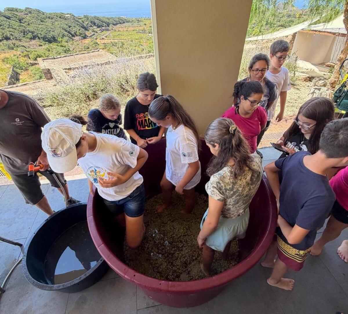 Pesta l'uva: i Piccoli Ranger di Pantelleria apprendono la vendemmia e la viticoltura eroica - 