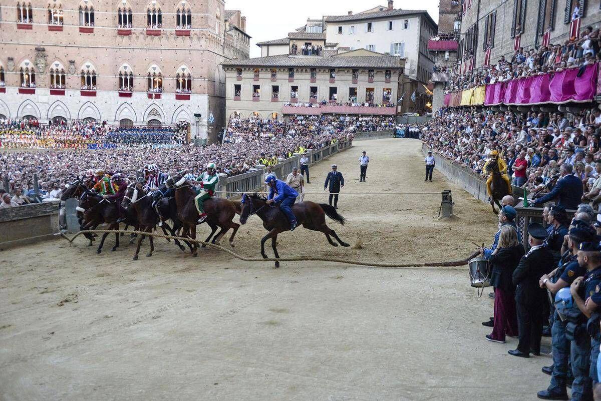 Palio di Siena, Tittia fa 13: ecco chi è il fantino che ha fatto trionfare il Nicchio - 