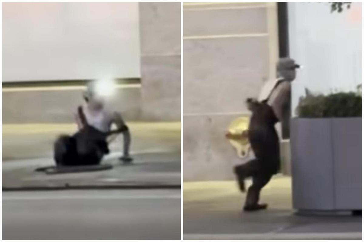 Entrano ed escono dalle fogne, scoppia il caso a New York - Video - 