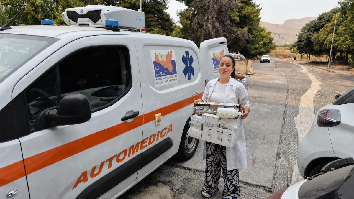 Palermo, 1.534 vaccinazioni nel primo weekend di Open Day dell'ASP: accesso diretto e ampia adesione - 