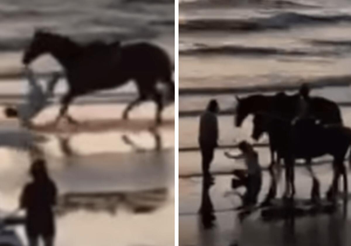 Paura per Belen, l'incidente con il cavallo: "Ho fatto una capriola tipo Dragon Ball" - 
