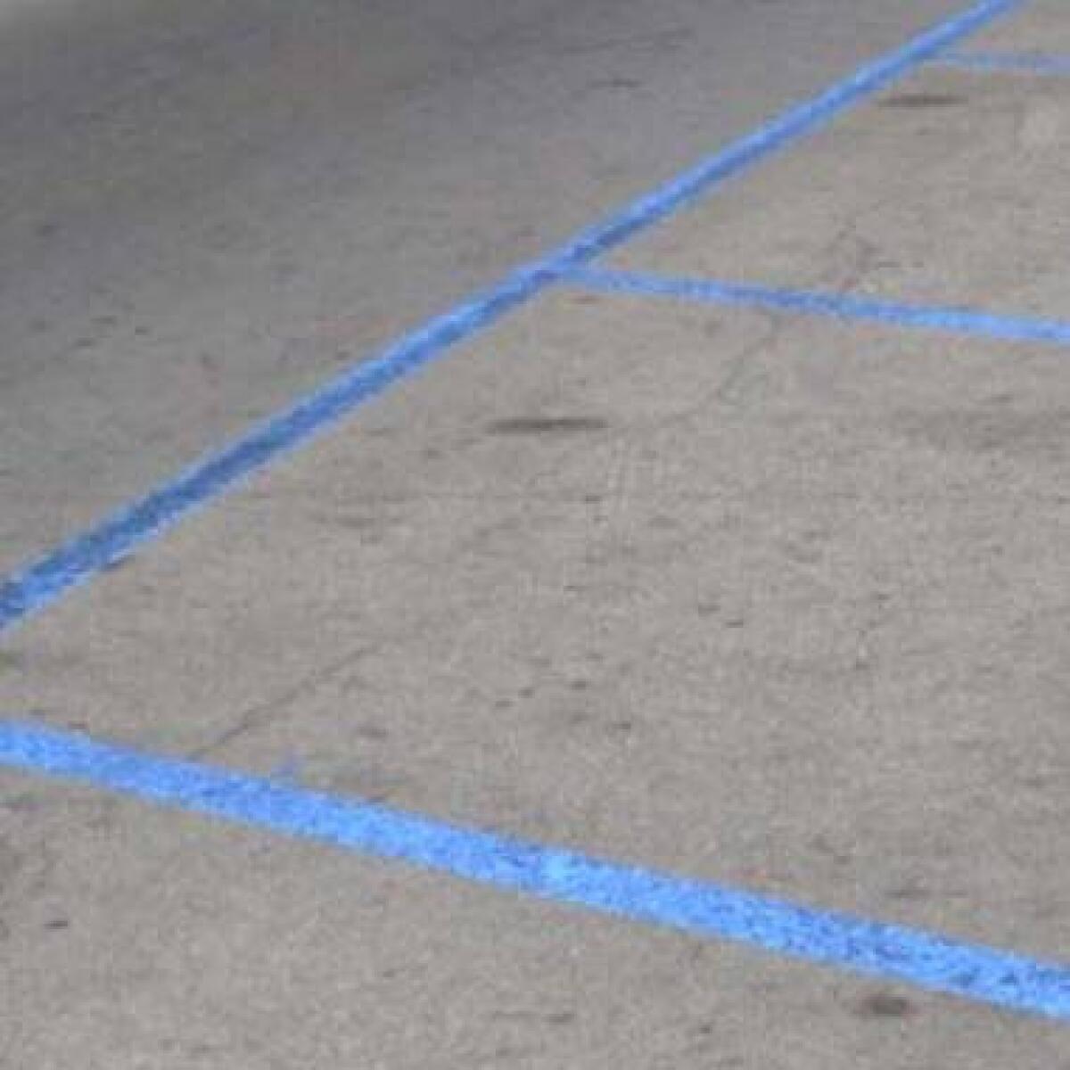Mondello e Sferracavallo: i consiglieri chiedono pass sosta per tutti i residenti e tariffe agevolate per i dimoranti - 