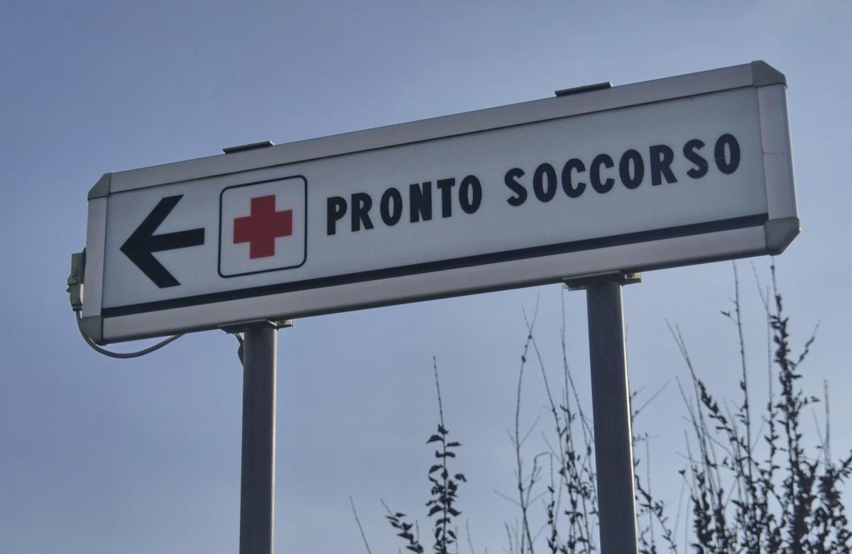 Due bambine azzannate da un cane randagio a Bari: una è in rianimazione - 