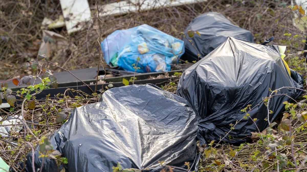 Abbandono rifiuti a Saponara: denunciato 31enne, area sequestrata e bonifica a spese del trasgressore - 