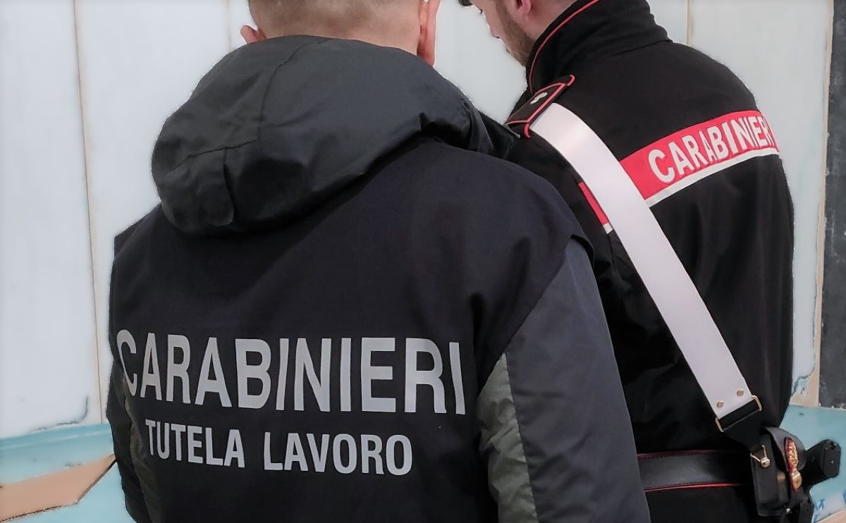 Sospeso laboratorio di pasticceria nel Catanese: sequestrati oltre 600 kg per muffa e insetti, titolare denunciata - 