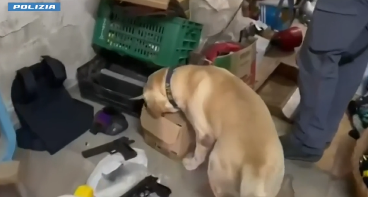 Laboratorio clandestino per modifiche d'armi scoperto a Librino: denunciato un 28enne - 