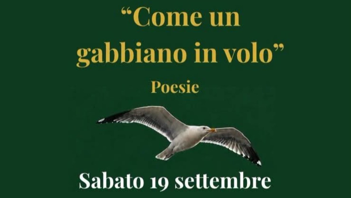 Caltagirone: presentazione di «Come un gabbiano in volo» e festa della poesia il 19 settembre - 