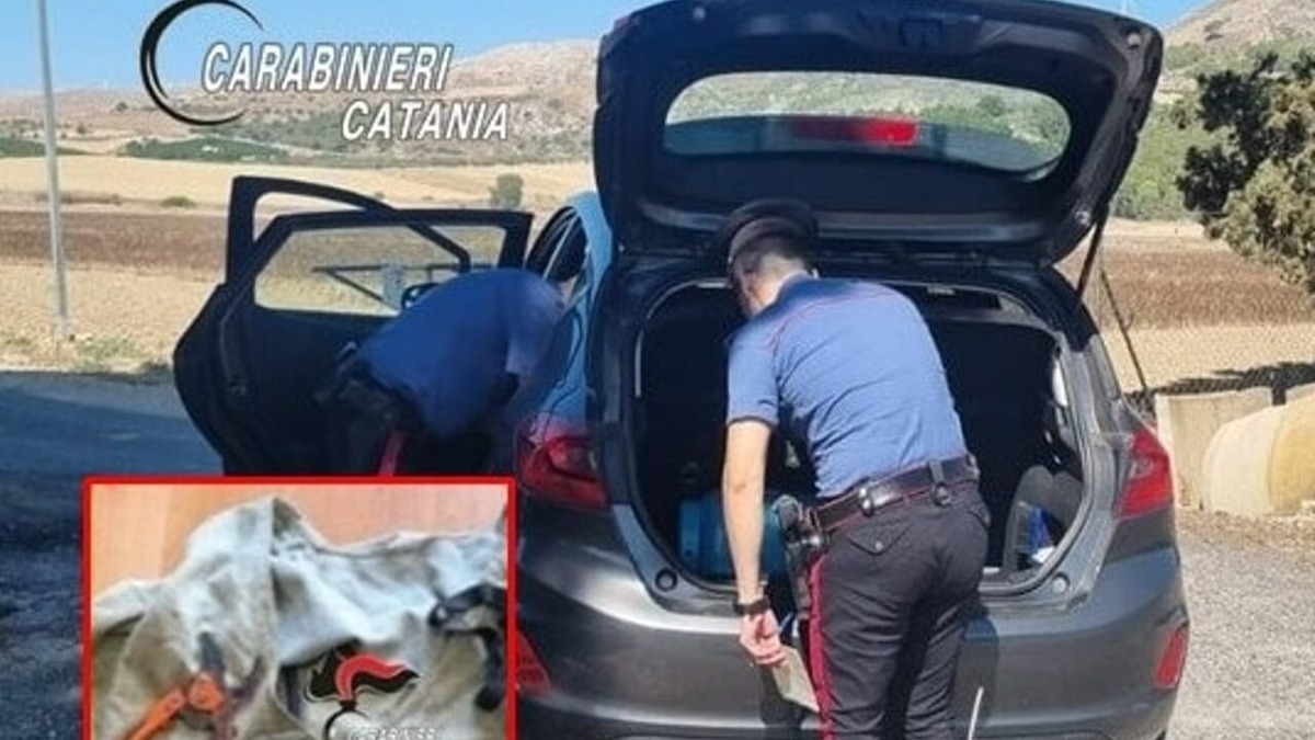 Furti d'uva: quattro catanesi fermati di notte, denunciati per possesso di grimaldelli - 