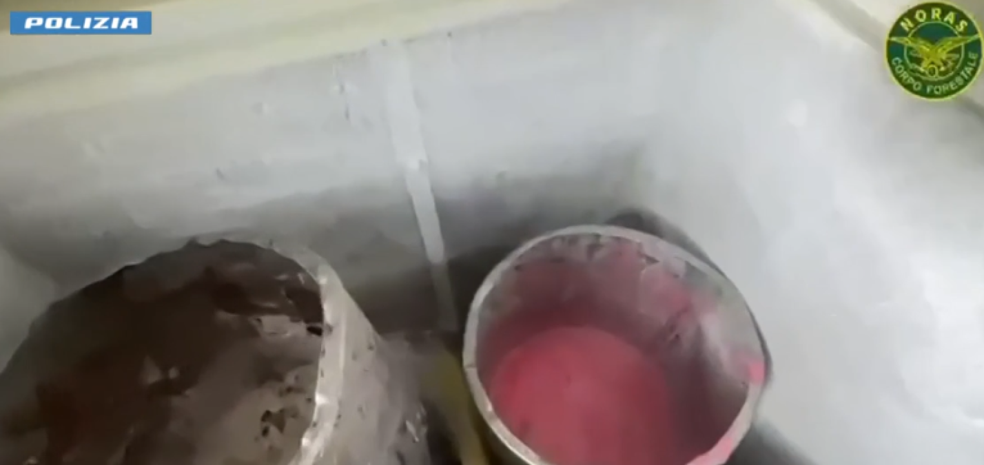 Catania, panificio abusivo nel quartiere San Giorgio: sequestrati 700 kg di prodotti, titolare denunciato - 