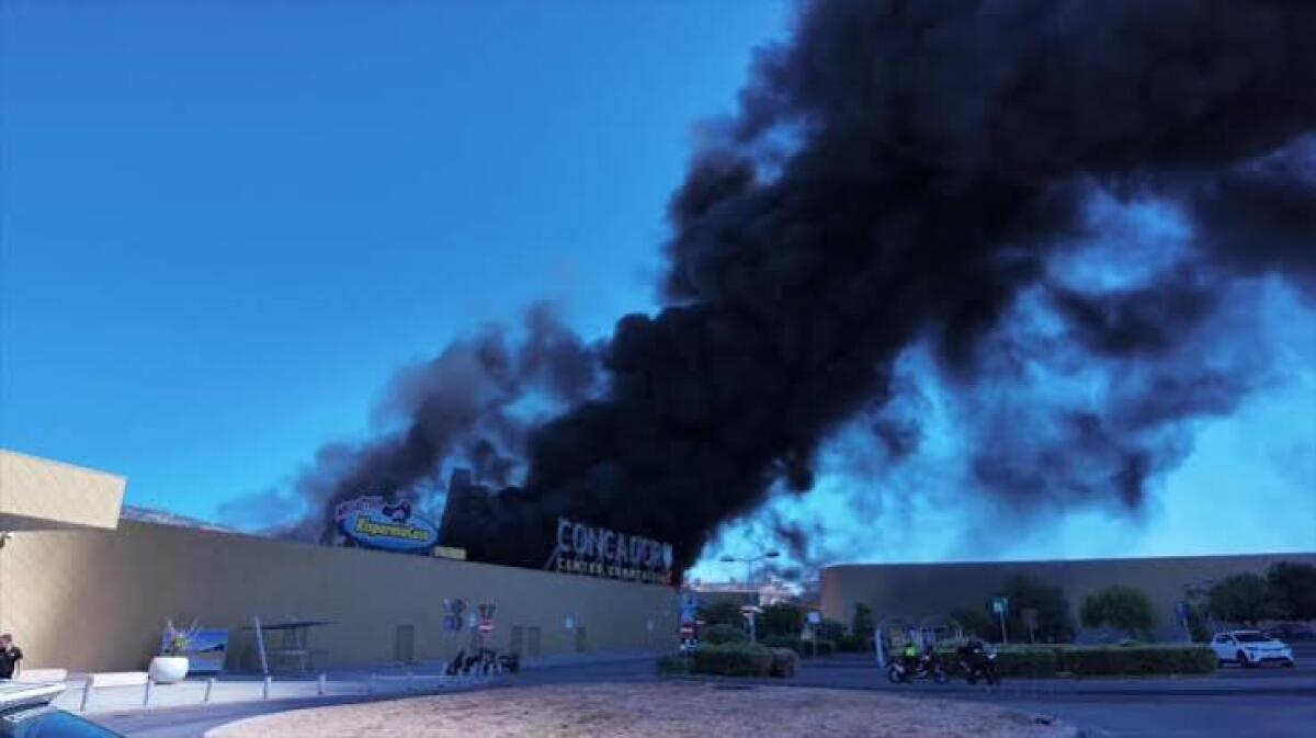 Incendio al centro commerciale Conca d’Oro di Palermo: il consigliere Puma esprime vicinanza e auspica rapida riapertura - 