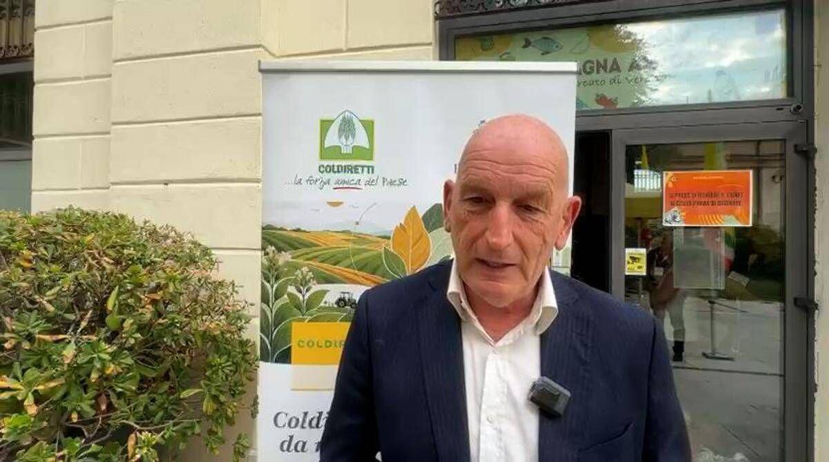 Tabacco, Bond (Regione Veneto): "Accordo di filiera modello da replicare in altri settori" - 