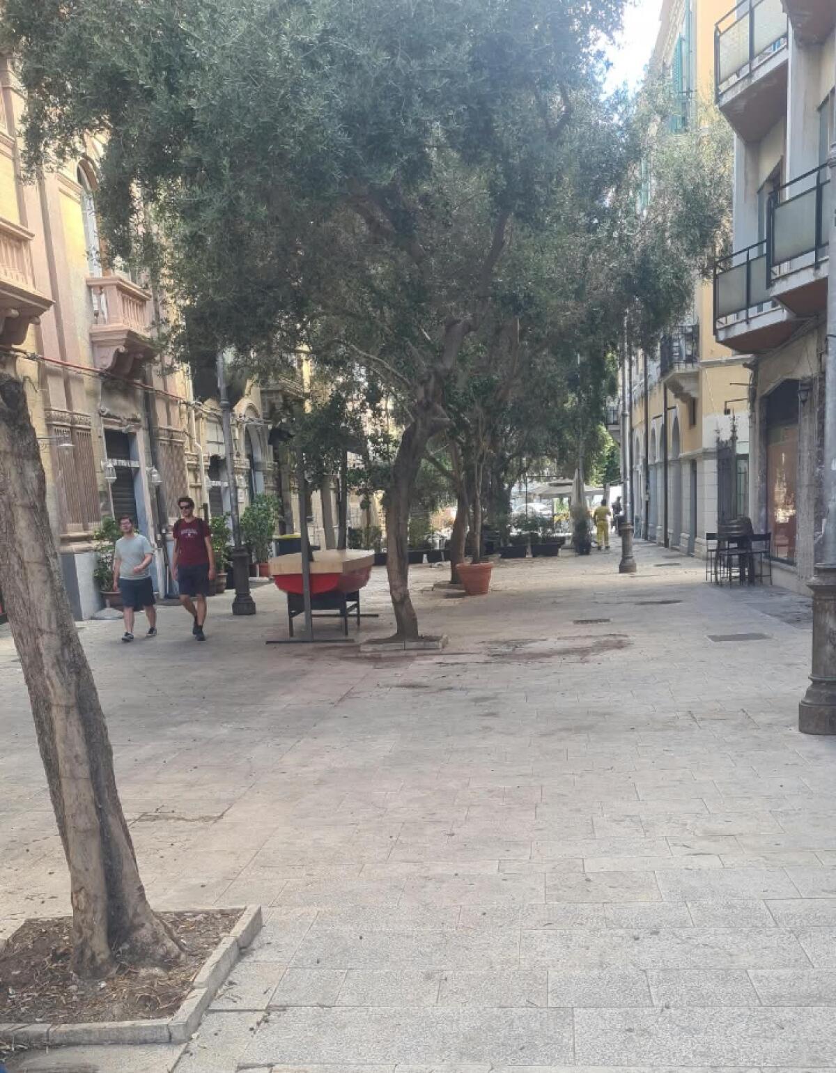 Via Cardines: sgombrati vasi e carrellati, un'attività commerciale verbalizzata - 