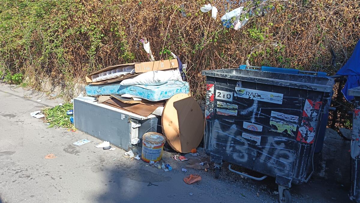 Rifiuti ingombranti abbandonati da settimane: il consigliere Dentici denuncia ritardi e mancati interventi di RAP - 